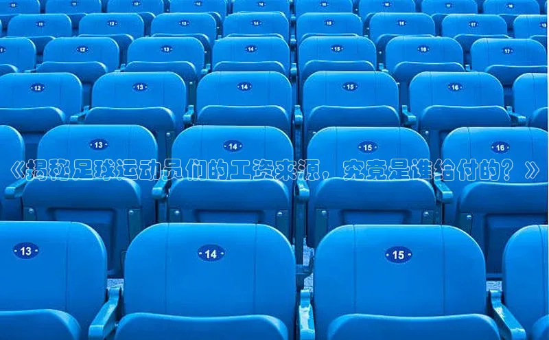 qm球盟会官方网站金山办公《揭秘足球运动员们的工资来源，究竟是谁给付的？》