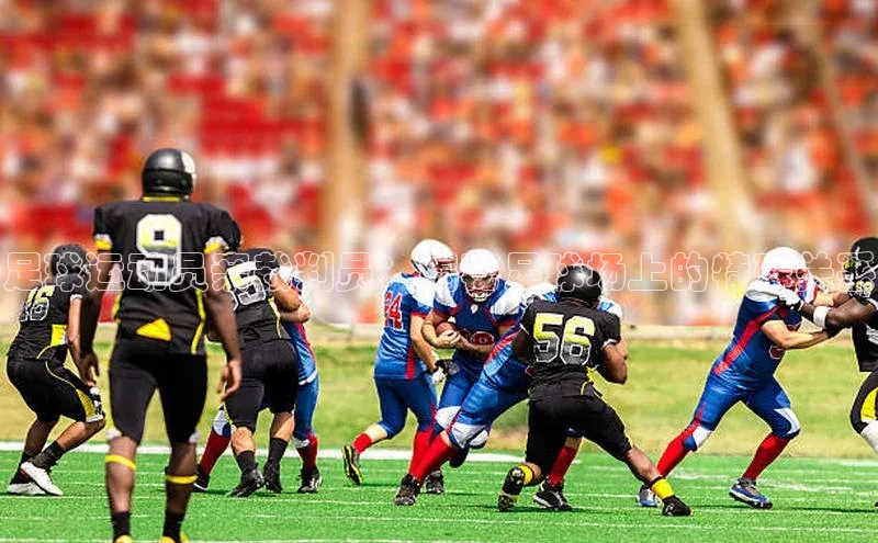 qmh8球盟会皮阿诺足球运动员亲裁判员：揭秘足球场上的特殊关系