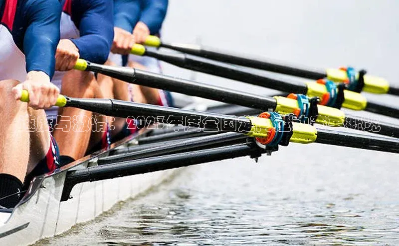 速度与激情：2023年度全国定向运动赛事概览