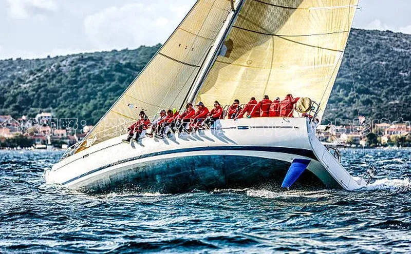 全球视野：探讨国际运动赛事的多样性与影响力