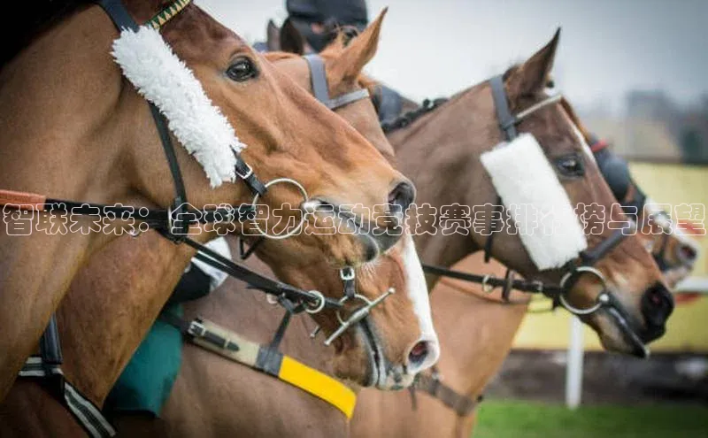 智联未来：全球智力运动竞技赛事排行榜与展望