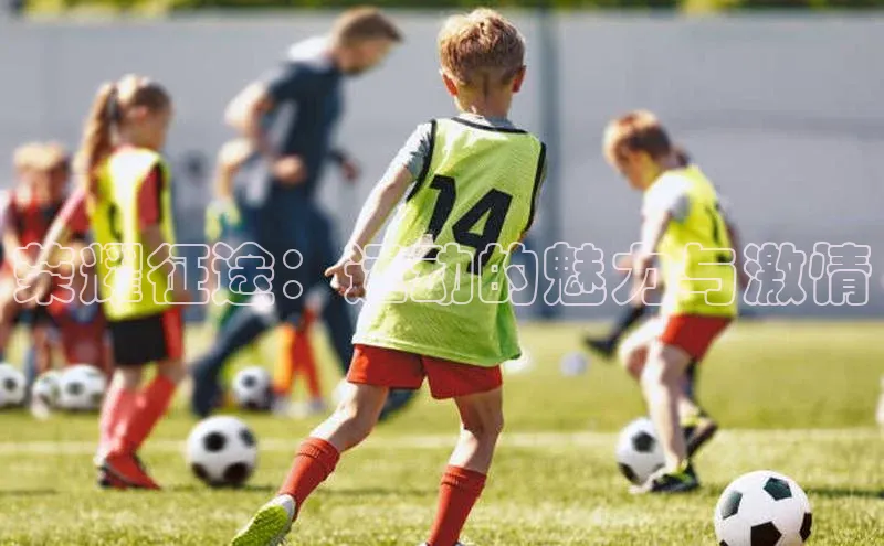 荣耀征途：运动的魅力与激情