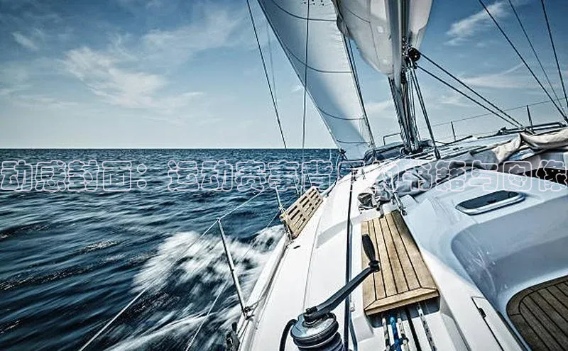 动感封面：运动赛事背后的书籍与图像