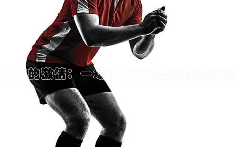 跃动的激情：一场顶级运动会赛事的全景