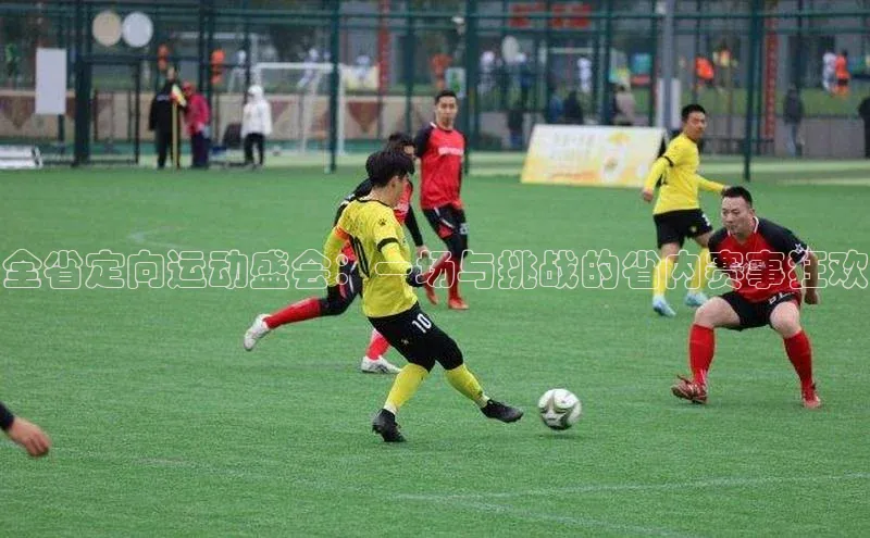 全省定向运动盛会：一场与挑战的省内赛事狂欢