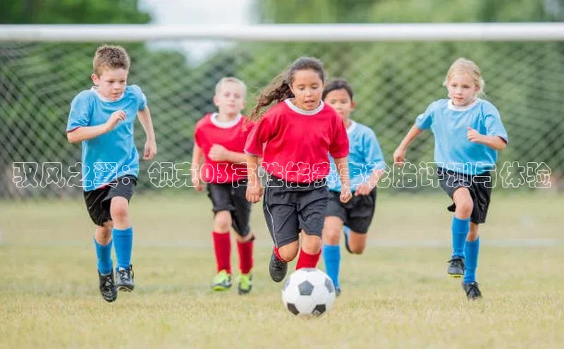 驭风之翼：领克03高性能赛事轮胎评测与体验