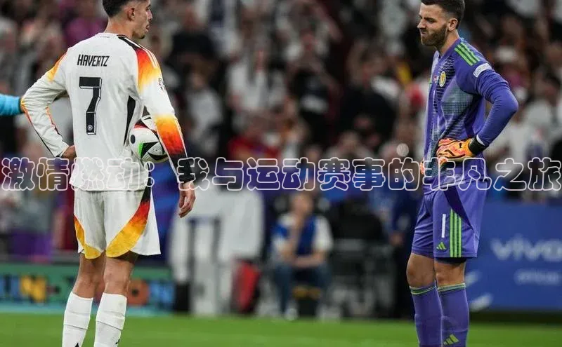 激情燃动：我与运动赛事的非凡之旅