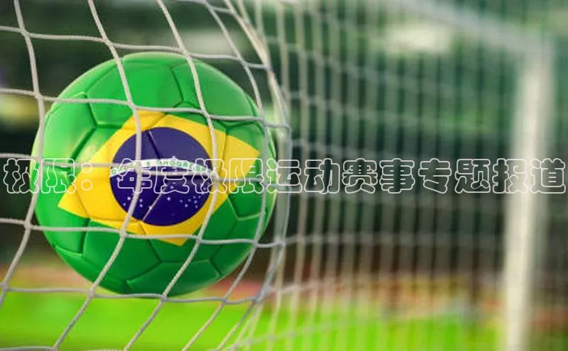 极限：年度极限运动赛事专题报道