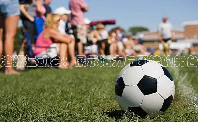 沧州运动会：展示活力与团结的舞台