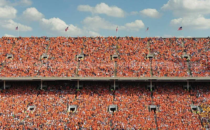 涪陵区：活力四射的运动盛事——2023年涪陵最新运动赛事概览