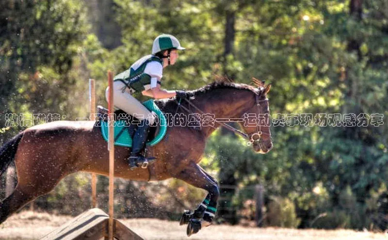 球盟会在线登录